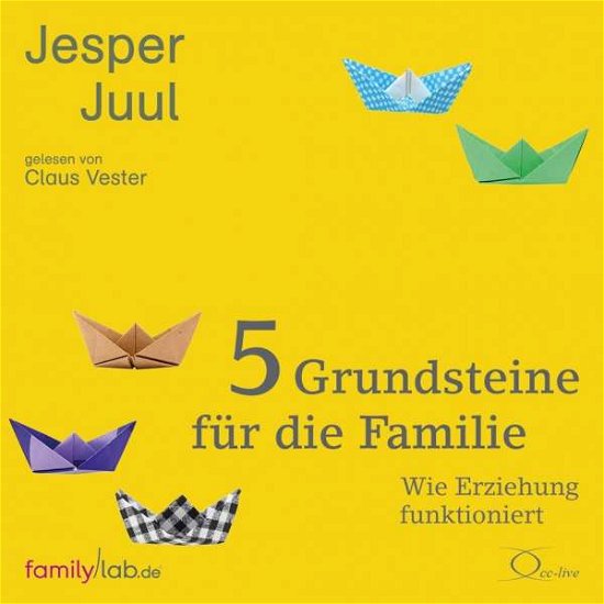 Cover for Juul · 5 Grundsteine für die Familie,CDs (Bok)