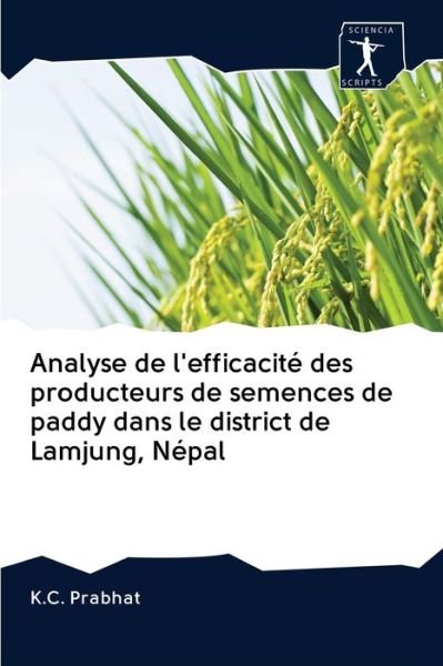 Cover for Prabhat · Analyse de l'efficacité des pro (Bog) (2020)