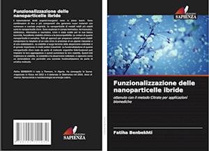 Cover for Benbekhti · Funzionalizzazione delle nano (Book)