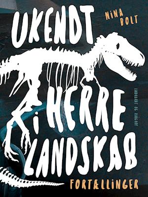 Cover for Nina Bolt · Ukendt herre i landskab (Sewn Spine Book) [1st edition] (2018)