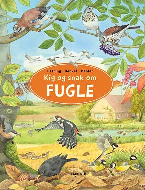Cover for Bärbel Oftring · Kig og snak om: Kig og snak om Fugle (Papbog) [1. udgave] (2020)