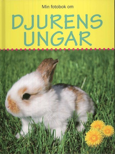 Min fotobok om: Djurens ungar - Sonia Vallabh - Books - Globe förlaget - 9789171661432 - January 19, 2009