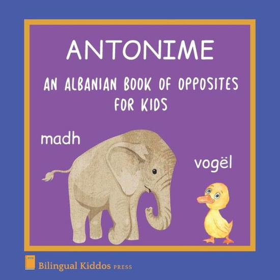 Cover for Bilingual Kiddos Press · An Albanian Book Of Opposites For Kids (Paperback Book) (2020)