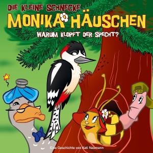 Cover for Die Kleine Schnecke Monika Häuschen · 26: Warum Klopft Der Specht? (CD) (2012)
