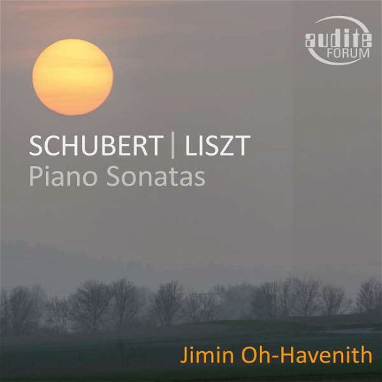 Cover for Liszt / Oh-havenith · Piano Sonatas (CD) (2019)