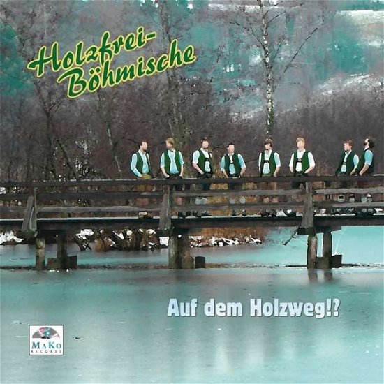 Cover for Holzfrei Böhmische · Auf Dem Holzweg!? (CD) (2016)