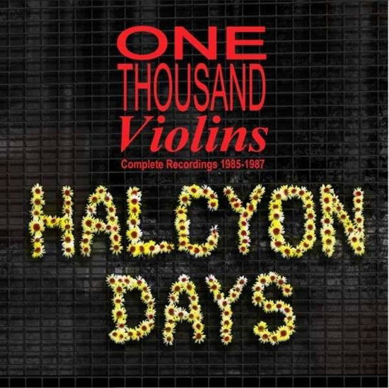 Halcyon Days - One Thousand Violins - Música - OPTIC NERVE - 5013929162433 - 22 de maio de 2014