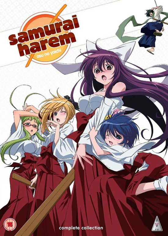 Cover for Manga · Samurai Harem: Collection [Edizione: Regno Unito] (DVD) (2015)