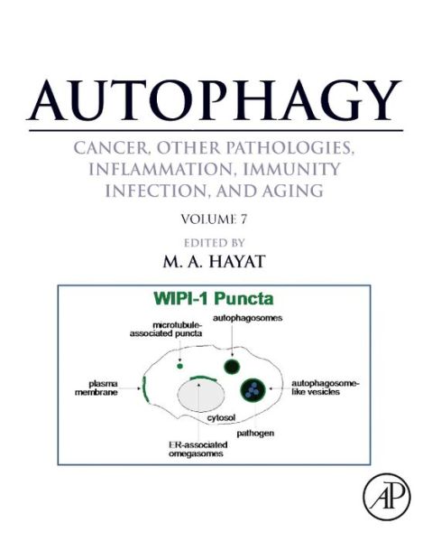 Autophagy: Cancer, Other Pathologies, Inflammation, Immunity, Infection, and Aging: Volume 7Role of Autophagy in Therapeutic Applications - Autophagy - Książki - Elsevier Science Publishing Co Inc - 9780128010433 - 17 lutego 2015