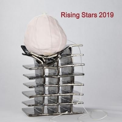 Cover for New Ashgate Gallery · Rising Stars 2019 (Bok) (2019)