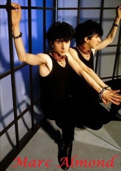 Marc Almond Soft Cell - Harry Lime - Books - Lulu.com - 9780244572433 - March 17, 2020