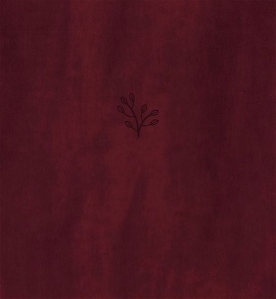 Cover for Zondervan · Amplified Holy Bible, XL Edition, Leathersoft, Burgundy (Skinnbok) (2021)