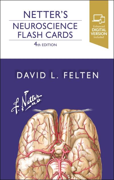 Cover for Felten, David L. (Distinguished Scholar in Residence, Division of Applied Health and Wellness, Keuka College, Keuka Park, New York, USA) · Netter's Neuroscience Flash Cards - Netter Basic Science (Flashcards) (2022)