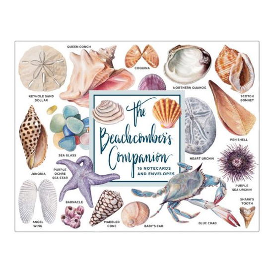 The Beachcomber's Companion Greeting Assortment Notecards - Sarah McMenemy - Bøger - Galison - 9780735357433 - 4. februar 2019