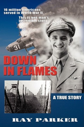 Cover for Ray Parker · Down in Flames (Paperback Book) (2009)