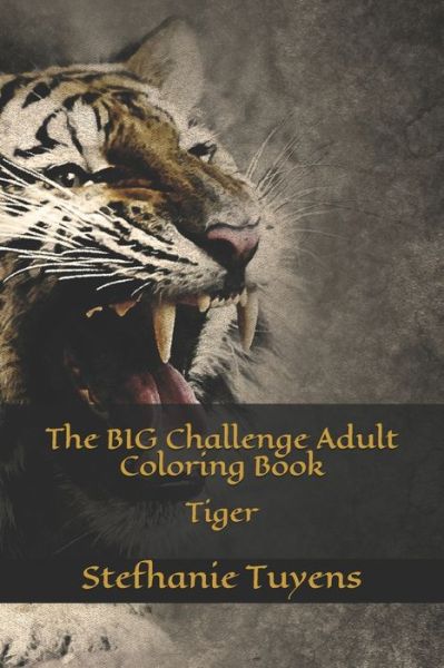 Cover for Stefhanie Tuyens · The BIG Challenge Adult Coloring Book (Pocketbok) (2017)