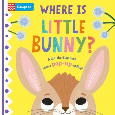 Cover for Campbell Books · Where is Little Bunny?: The lift-the-flap book with a pop-up ending! - Where is Little... (Tavlebog) (2023)
