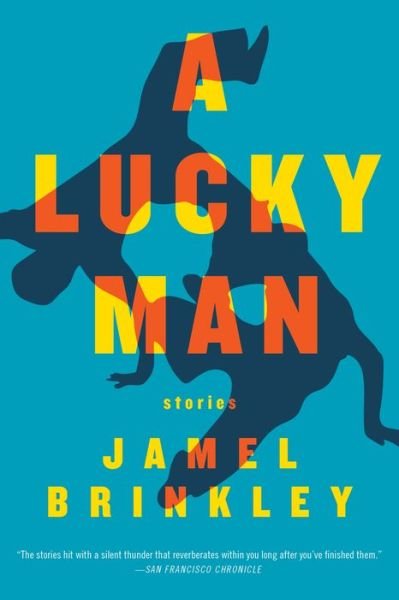 Cover for Jamel Brinkley · A Lucky Man: Stories (Paperback Book) (2019)