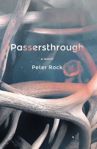 Cover for Rock, Peter, MD, FCCP, MBA · Passersthrough (Hardcover Book) (2022)