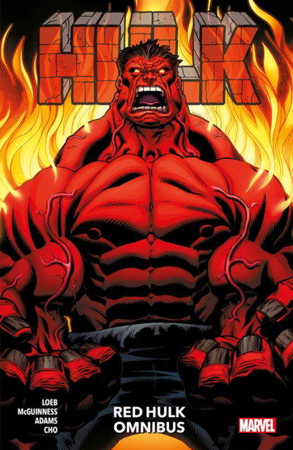 Hulk: Red Hulk Omnibus - Jeph Loeb - Böcker - Panini Publishing Ltd - 9781804911433 - 1 december 2023