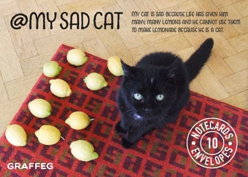 My Sad Cat Notecards - Tom Cox - Books - Graffeg Limited - 9781909823433 - November 1, 2015