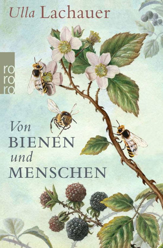 Von Bienen und Menschen - Ulla Lachauer - Książki - Rowohlt Taschenbuch Verlag GmbH - 9783499632433 - 19 maja 2020