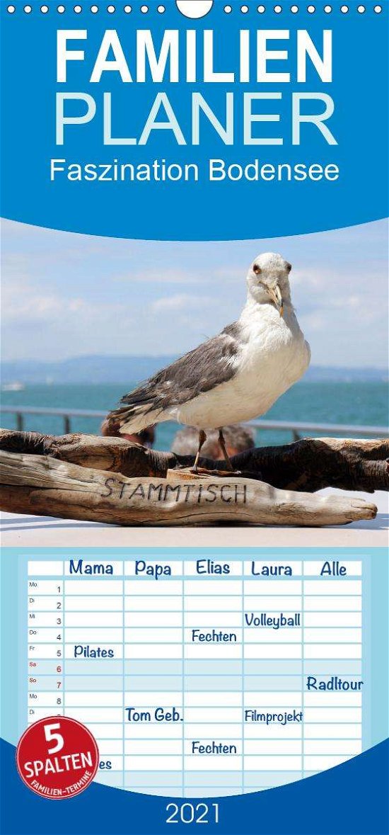 Cover for Raab · Faszination Bodensee - Familienpla (Book)