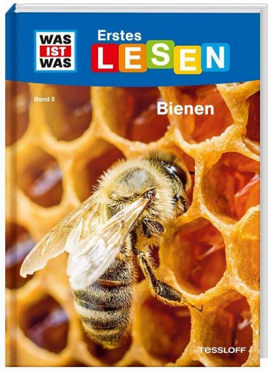Cover for Braun · Was ist was Erstes Lesen: Bienen (Book)