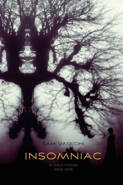 Cover for Sam Vaseghi · Insomniac (Pocketbok) (2018)