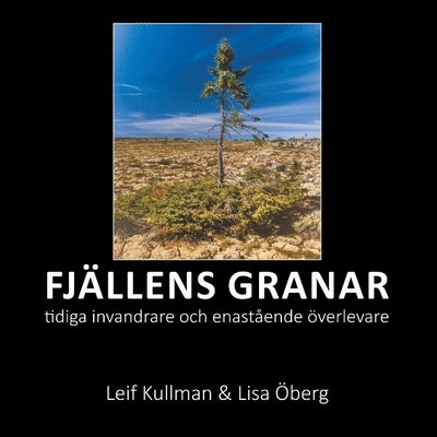 Cover for Lisa Öberg Leif Kullman · Fjällens granar : tidiga invandrare och enastående överlevare (Paperback Book) (2019)