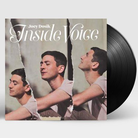 Cover for Joey Dosik · Inside Voice (LP) [Coloured edition] (2018)
