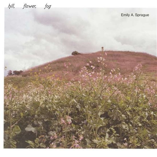 Cover for Emily A. Sprague · Hill. Flower. Fog (LP) (2021)