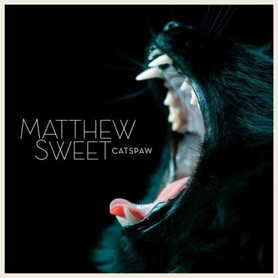 Cover for Matthew Sweet · Catspaw (CD) (2021)