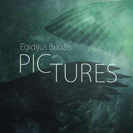 Egidijus Buozis · Pictures (CD) [Japan Import edition] (2017)