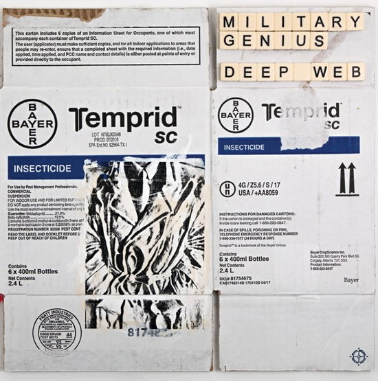 Cover for Military Genius · Deep Web (LP) (2020)