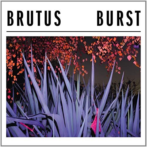 Cover for Brutus · Burst (LP) (2018)
