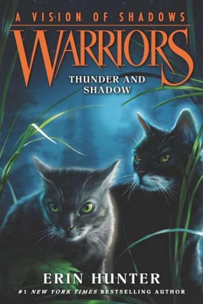 Cover for Erin Hunter · Warriors: A Vision of Shadows #2: Thunder and Shadow - Warriors: A Vision of Shadows (Paperback Bog) (2017)