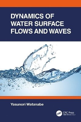 Cover for Watanabe, Yasunori (Hokkaido University, Japan) · Dynamics of Water Surface Flows and Waves (Paperback Book) (2025)