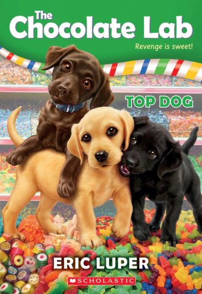 Cover for Eric Luper · Top Dog (The Chocolate Lab #3) - Chocolate Lab (Paperback Book) (2017)