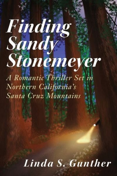 Cover for Linda S Gunther · Finding Sandy Stonemeyer (Paperback Book) (2016)