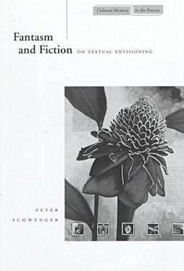 Cover for Peter Schwenger · Fantasm and Fiction: On Textual Envisioning - Cultural Memory in the Present (Innbunden bok) (1999)