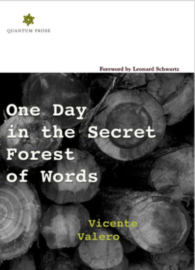 Cover for Vicente Valero · One Day in the Secret Forest of Words (Paperback Book) (2019)