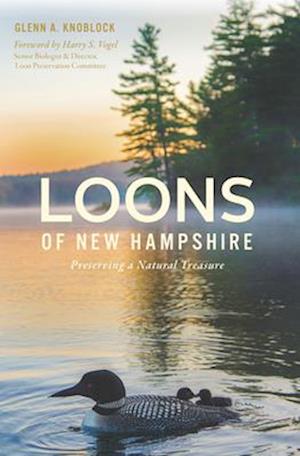 Cover for Glenn A. Knoblock · Loons of New Hampshire (Book) (2024)