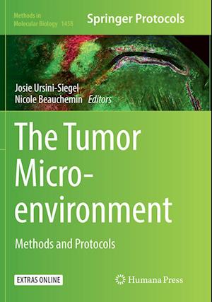 Cover for The Tumor Microenvironment: Methods and Protocols - Methods in Molecular Biology (Paperback Book) [Softcover reprint of the original 1st ed. 2016 edition] (2018)