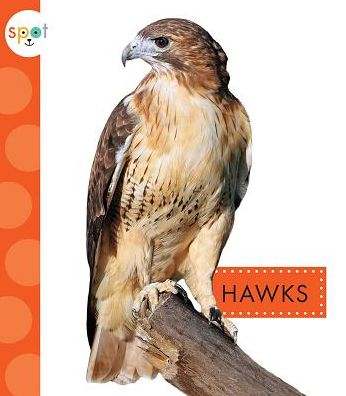 Cover for Mari C Schuh · Hawks (Hardcover Book) (2019)