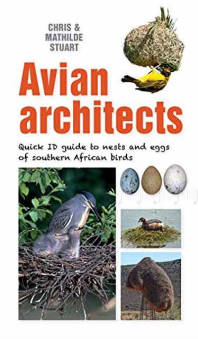 Cover for Chris Stuart · Avian Architects: Quick ID Guide to Nests and Eggs of Southern African Birds - Quick ID guides (Paperback Book) (2021)