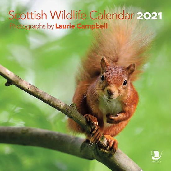 Cover for Laurie Campbell · Scottish Wildlife Calendar 2021 (Calendar) (2020)