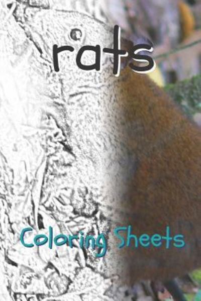 Rat Coloring Sheets - Julian Smith - Books - Independently Published - 9781797739434 - February 21, 2019