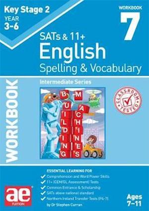 Cover for Dr Stephen C Curran · KS2 Spelling &amp; Vocabulary Workbook 7: Intermediate Level (Paperback Book) (2018)