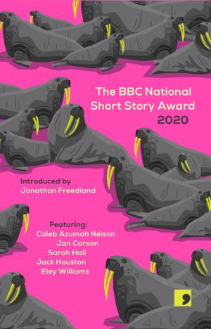 Cover for Sarah Hall · The BBC National Short Story Award 2020 (Book)